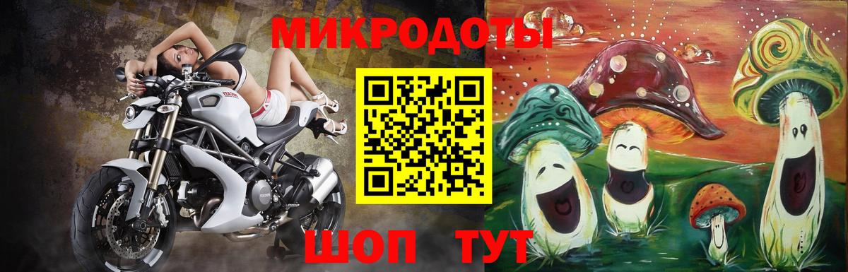 Галлюциногенные грибы Psilocybe Петрозаводск