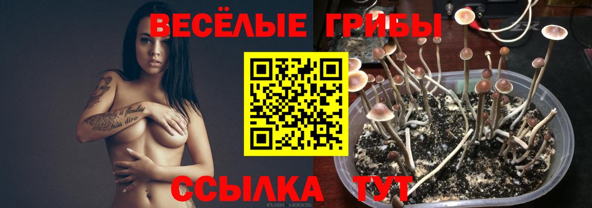 Галлюциногенные грибы Magic Shrooms  даркнет сайт  Петрозаводск  Вход с VPN 