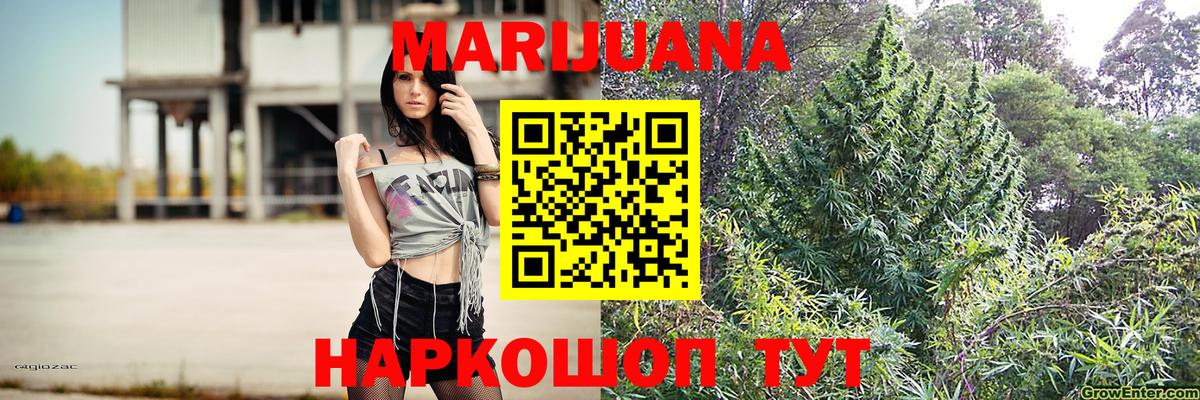 Канабис ГИДРОПОН Петрозаводск